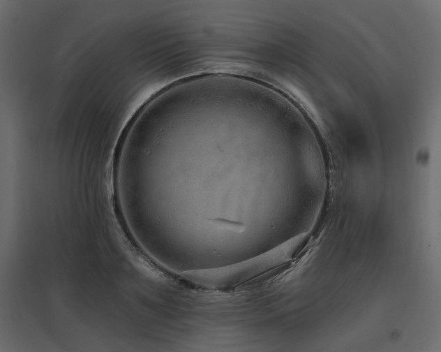 X0000097770891200803071315