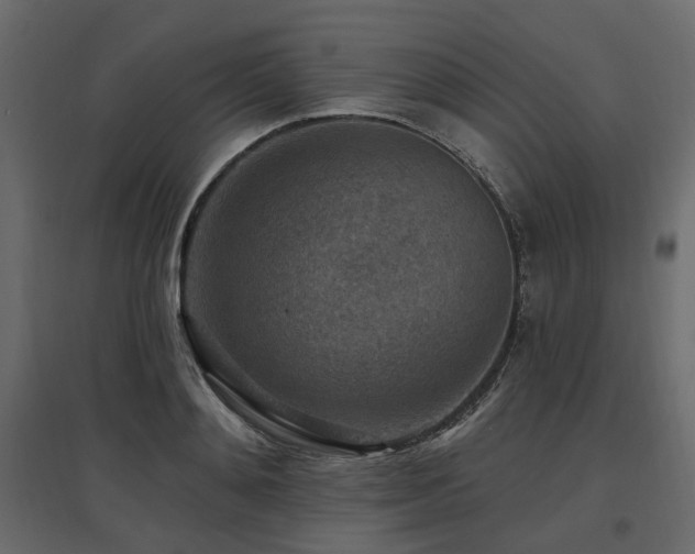 X0000097770892200803071315