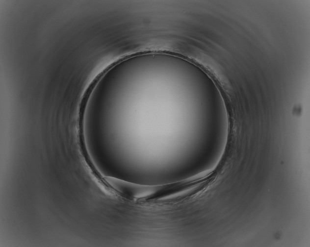 X0000097770894200803071315