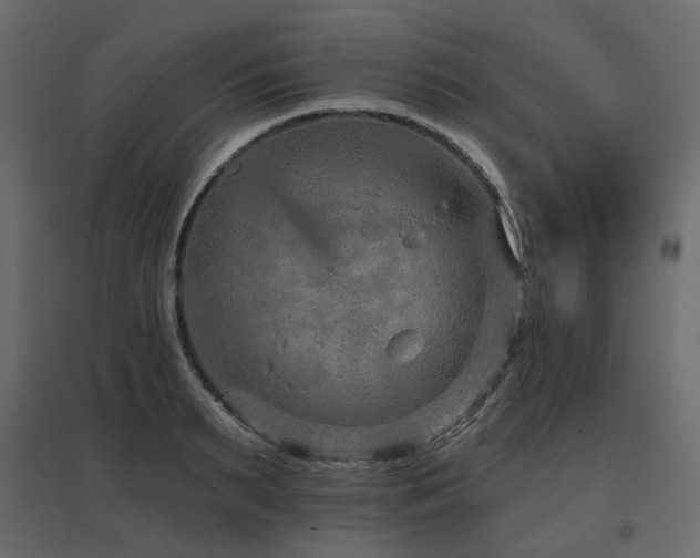X0000097770895200803071314