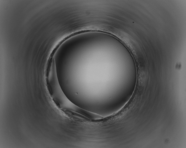 X0000097770896200803071314
