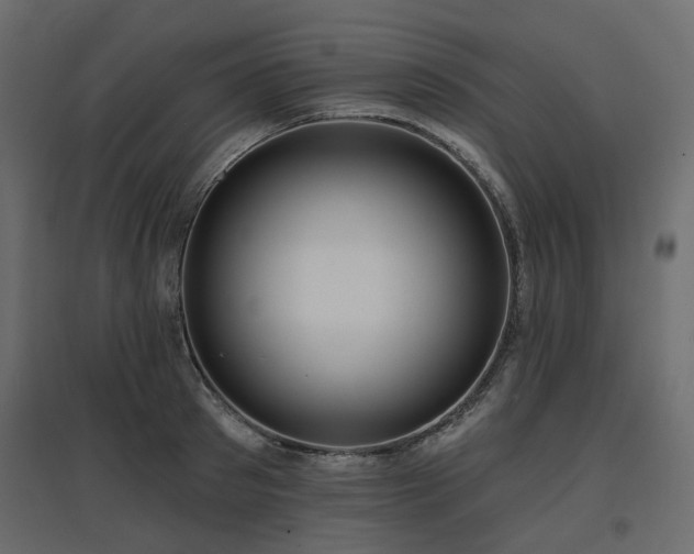 X0000097770897200803071314