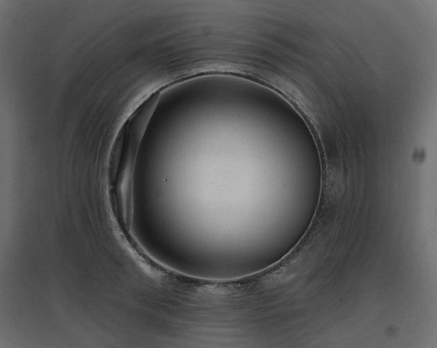 X0000097770898200803071314