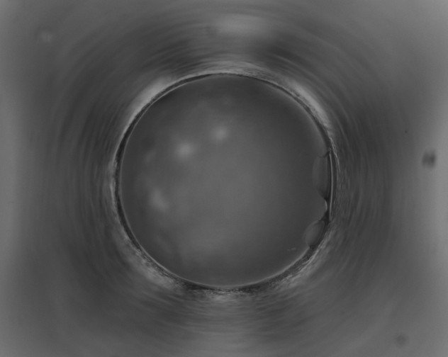 X0000097770899200803071314