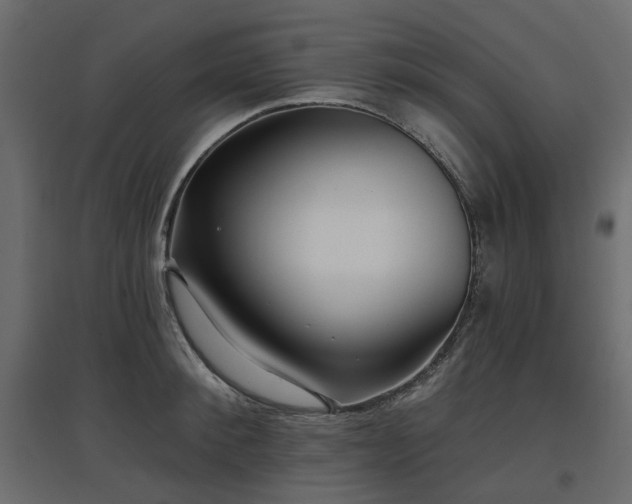 X0000097770900200803071314