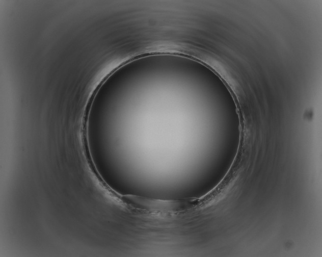 X0000097770901200803071314