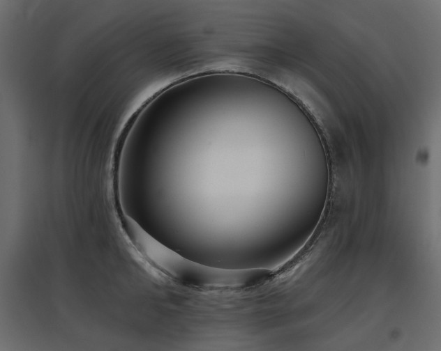 X0000097770902200803071314