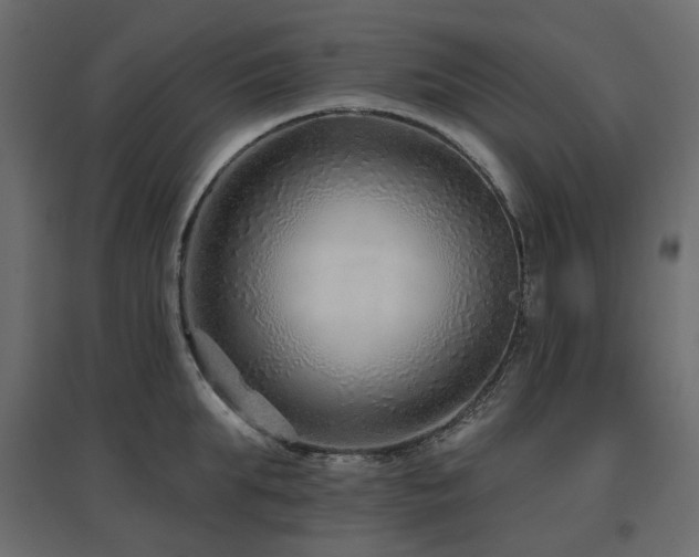 X0000097770903200803071314