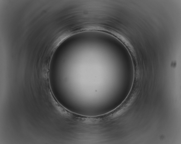 X0000097770905200803071314