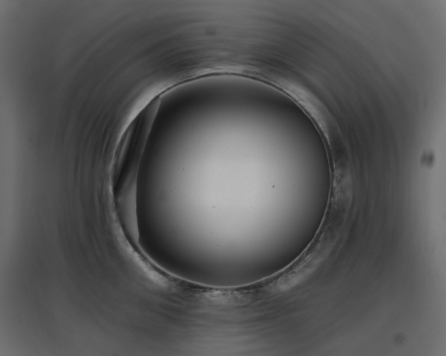 X0000097770906200803071314
