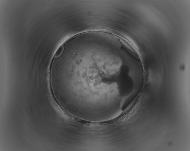 X0000097770907200803071314