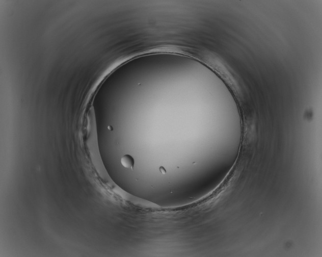X0000097770908200803071314