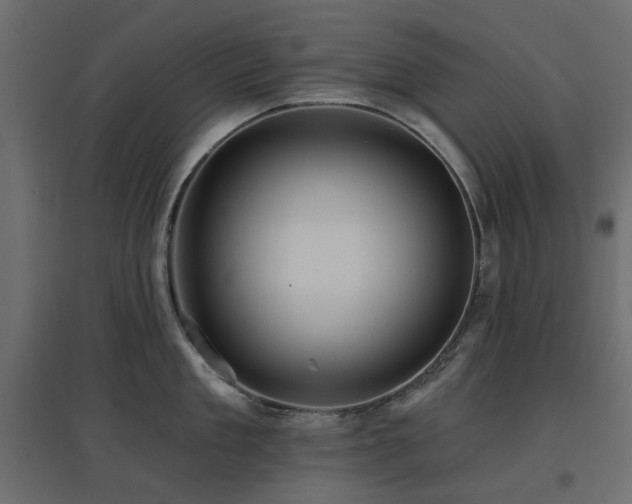 X0000097770909200803071314