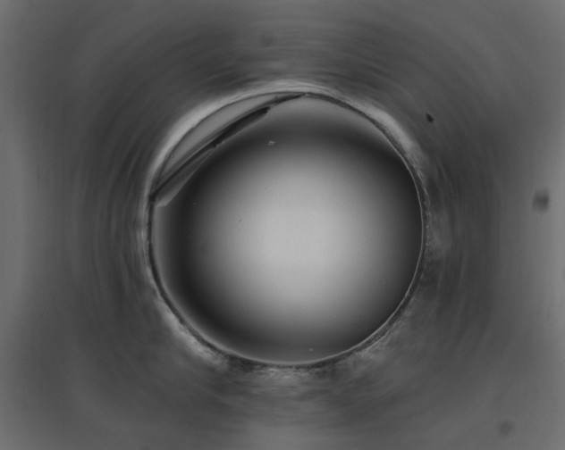 X0000097770910200803071314