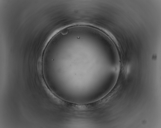 X0000097770911200803071314