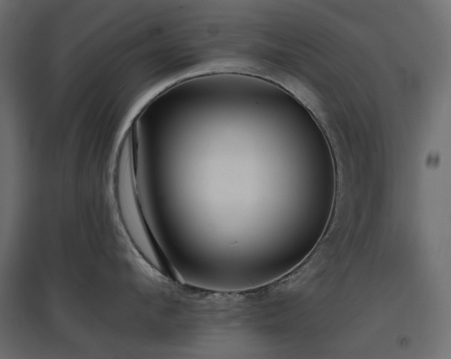 X0000097770912200803071314