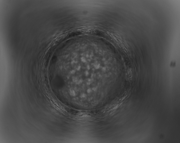 X0000097770913200803071314