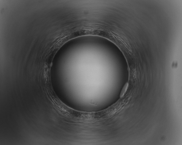 X0000097770914200803071314