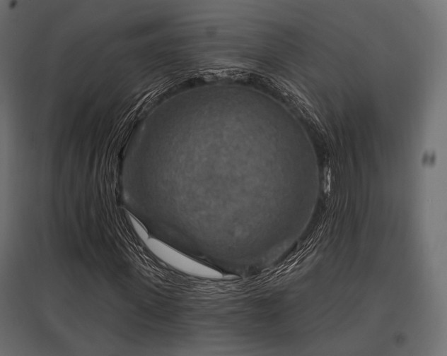 X0000097770915200803071314
