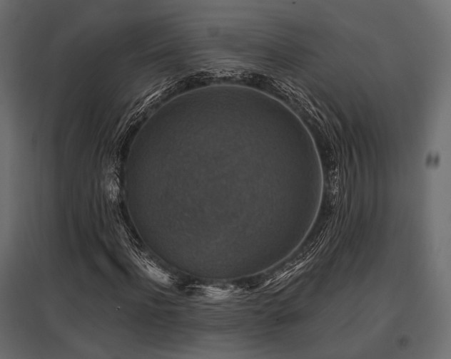 X0000097770916200803071314