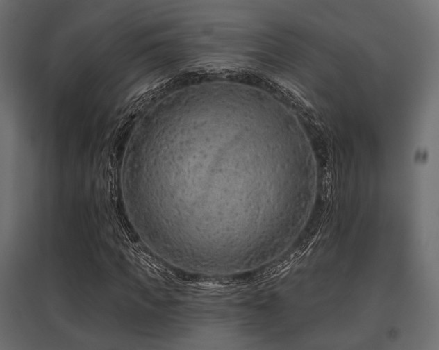 X0000097770917200803071314