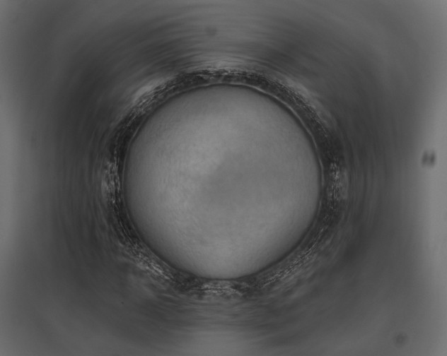 X0000097770918200803071314
