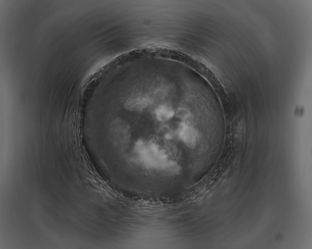 X0000097770919200803071314