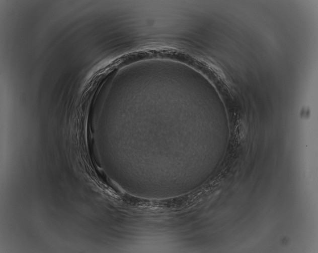 X0000097770920200803071314