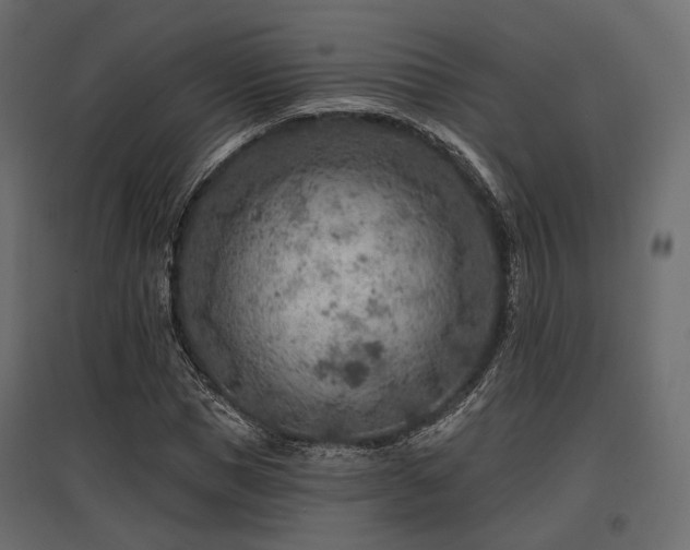 X0000097770921200803071314