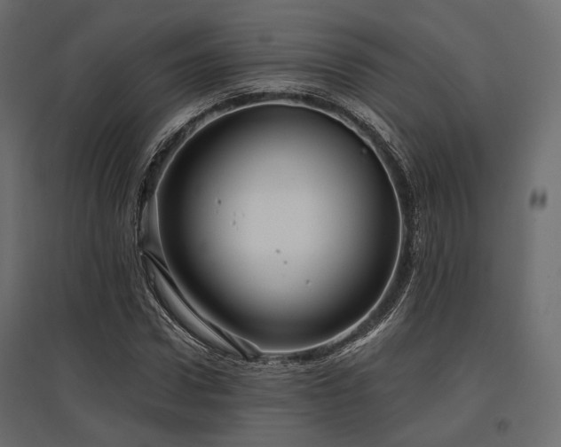 X0000097770922200803071314