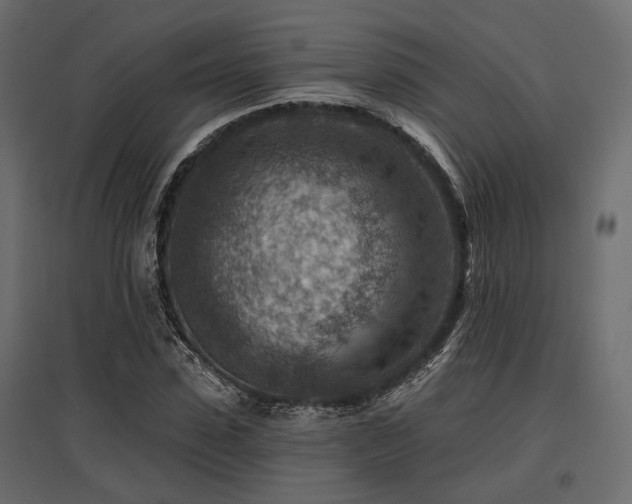 X0000097770923200803071314