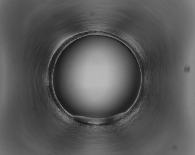 X0000097770924200803071314