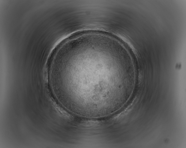 X0000097770925200803071314