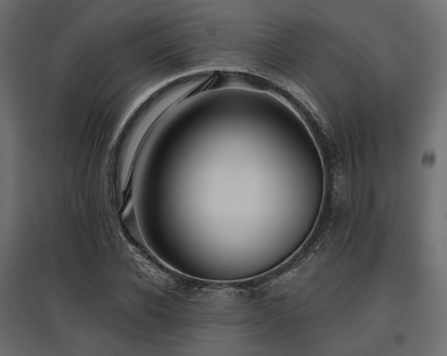 X0000097770926200803071314