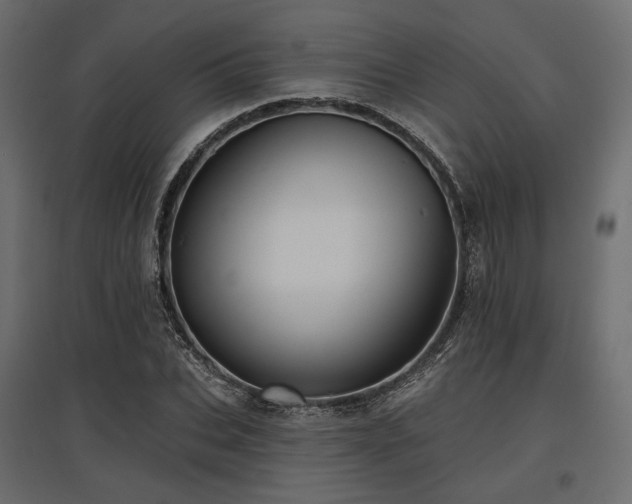 X0000097770927200803071314