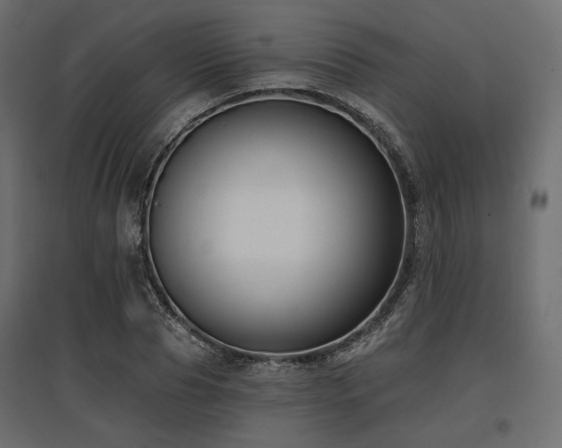 X0000097770929200803071314