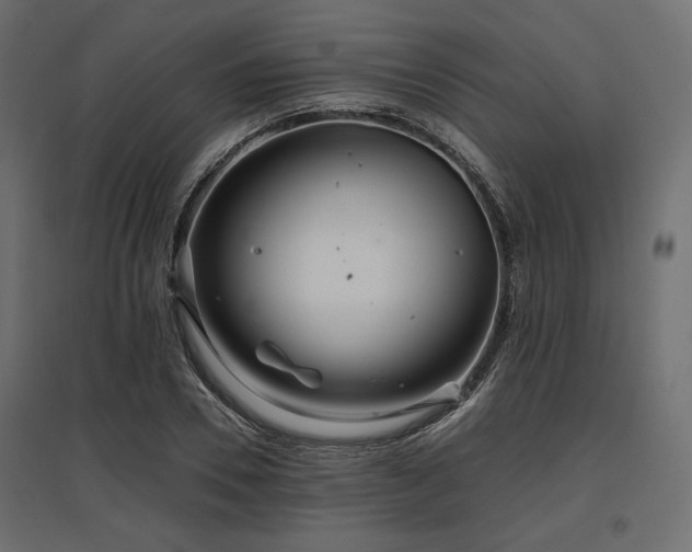 X0000097770930200803071314