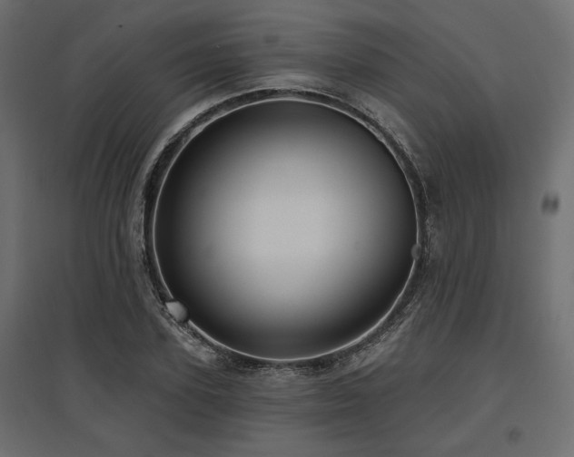 X0000097770931200803071314