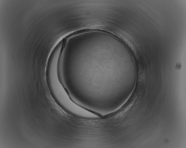 X0000097770932200803071314