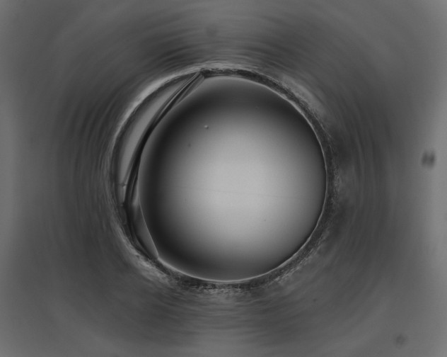 X0000097770934200803071314