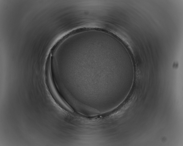 X0000097770935200803071314