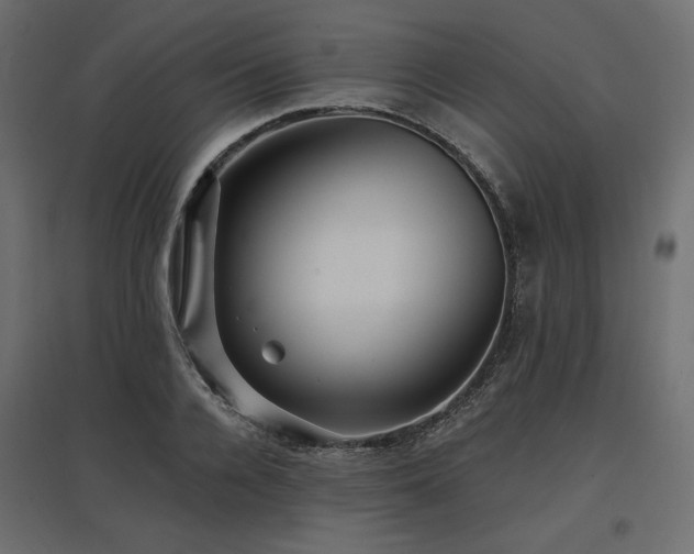 X0000097770936200803071314