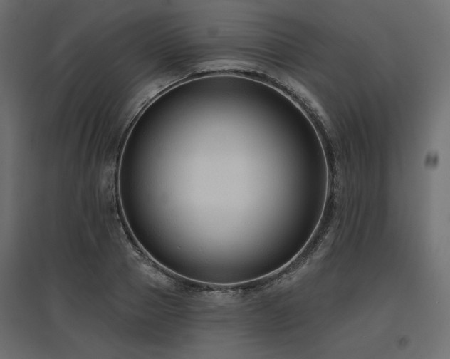 X0000097770937200803071314