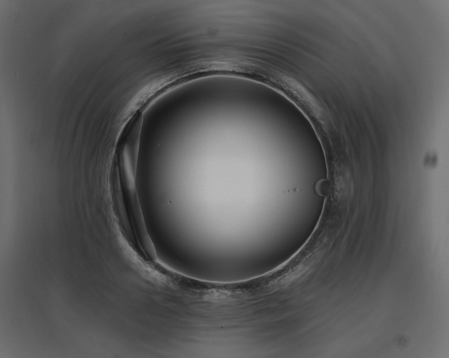 X0000097770938200803071314