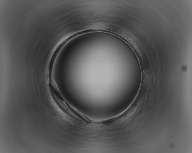 X0000097770939200803071314