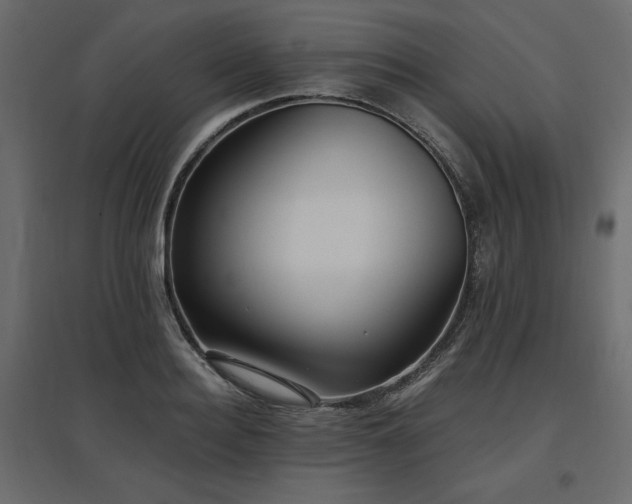 X0000097770940200803071314