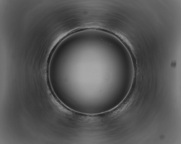 X0000097770941200803071314
