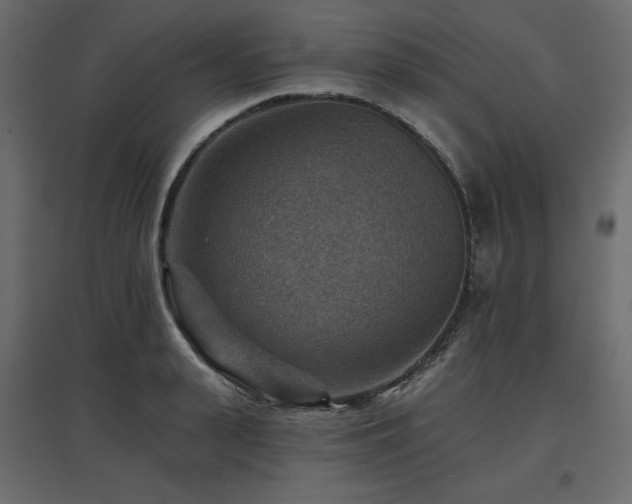 X0000097770943200803071314