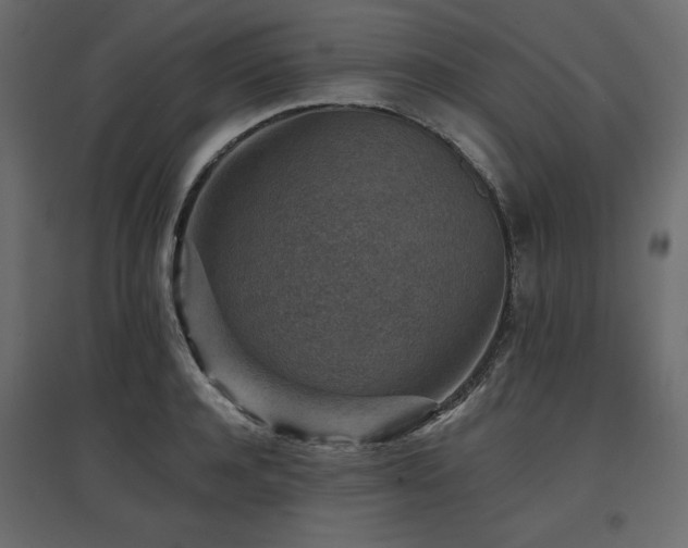 X0000097770944200803071314