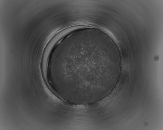 X0000097770946200803071314